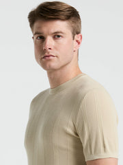 Tech Knit Mesh Striped Crew Neck Shirt
