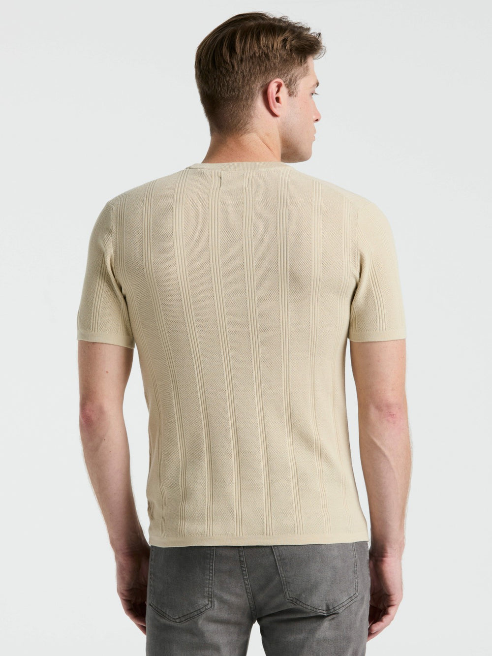 Tech Knit Mesh Striped Crew Neck Shirt