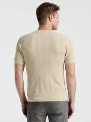 Tech Knit Mesh Striped Crew Neck Shirt