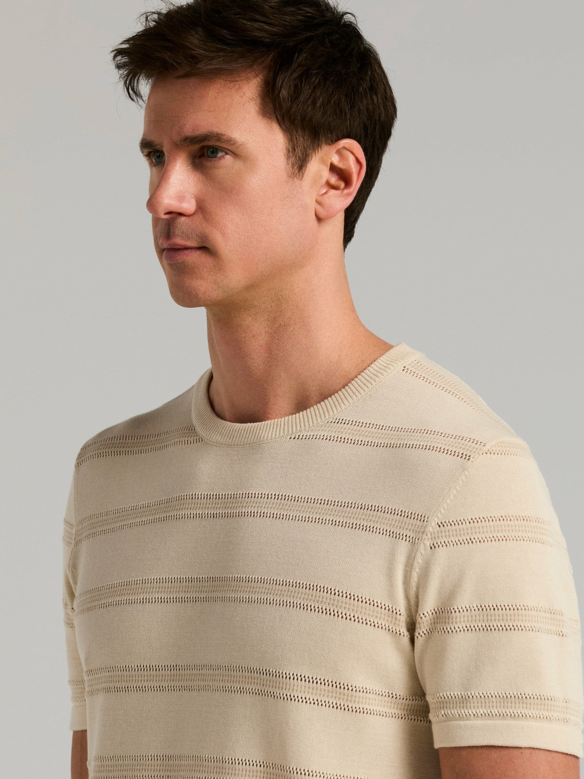Cotton Mesh Striped Crew Neck Sweater Tee